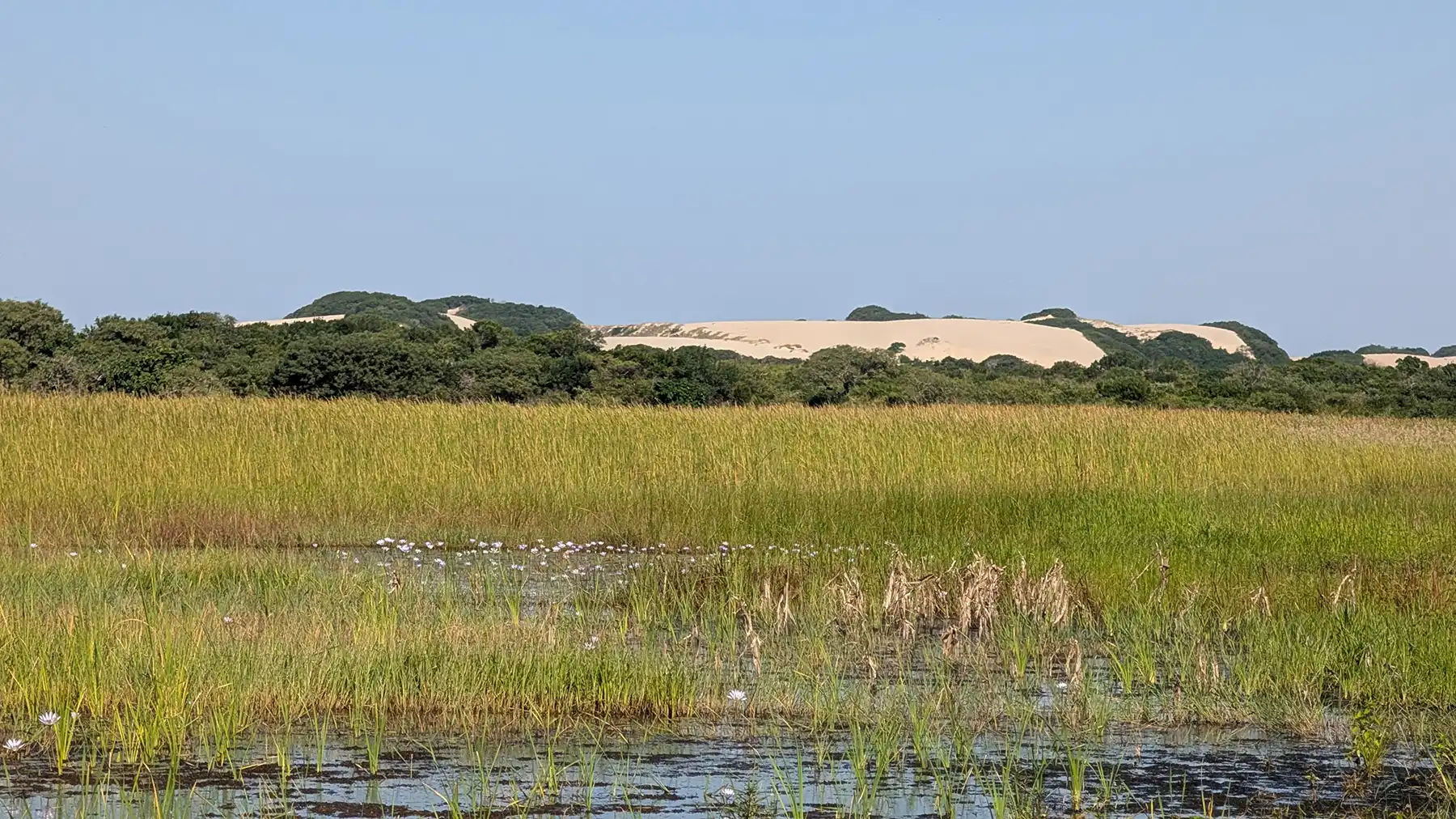 A hidden freshwater lake in Calanga reflects the soft afternoon light, framed by rolling golden dunes that rise quietly beyond the shore.