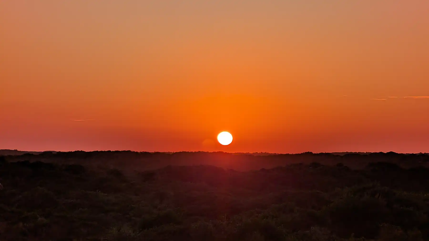 As the sun dips below the horizon, Calanga’s forest canopy glows in warm amber tones, marking the quiet transition from day to night.