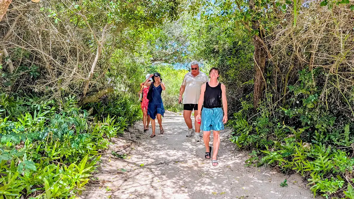 Forest path through Dune Beach Hostel