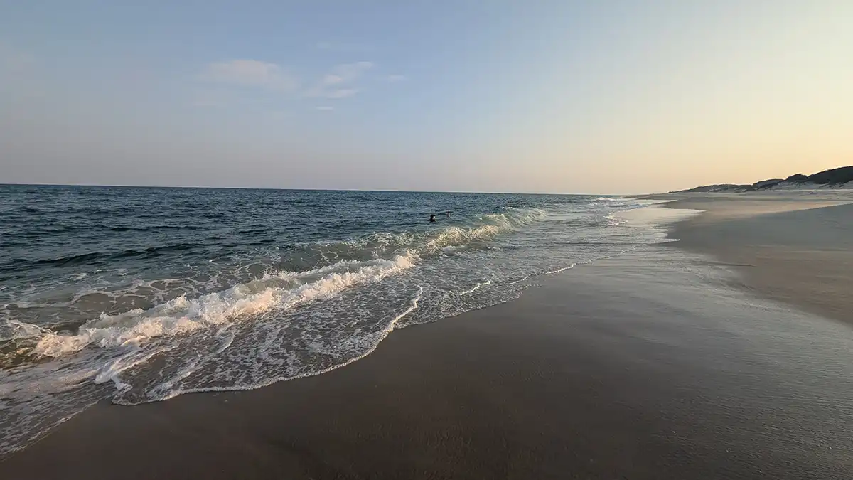 The beach at sunset