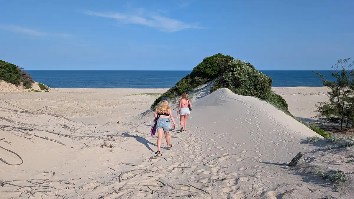 The dunes on the way to the beach