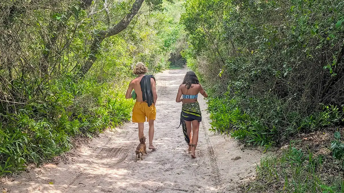 Walking to the beach